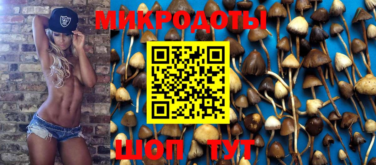Галлюциногенные грибы мицелий Советская Гавань