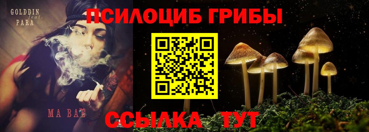 Советская Гавань  Галлюциногенные грибы прущие грибы  Вход с VPN 
